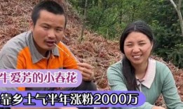 农村二姐前夫爆料视频